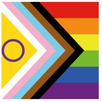 inclusivity flag merry puppins homepage