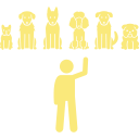 Dedication to education