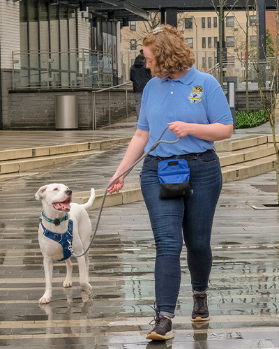 In Home Training Programs