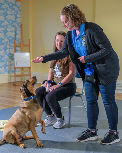 Open Enrollment Classes