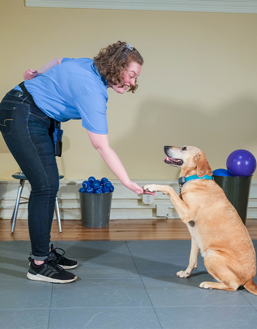 headmistress torin school for dogs dog trainer